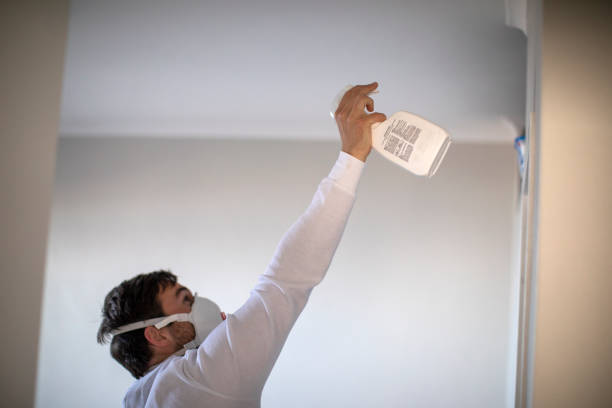 Best Commercial Mold Remediation in North Amityville, NY