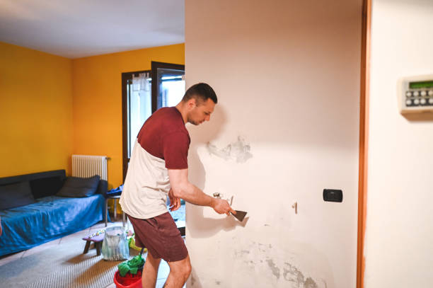 Best Mold Remediation for Schools in North Amityville, NY